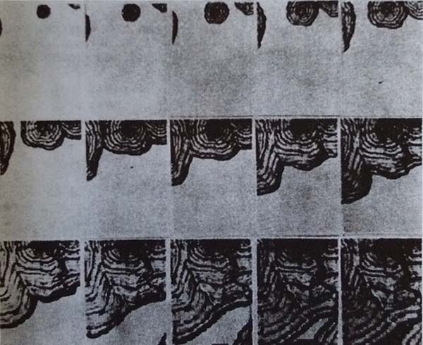 鋁型材陽極氧化初期陽極氧化膜的形成 鋁型材陽極氧化初期陽極氧化膜的形成