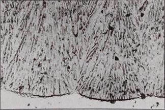 具有放射狀成長微孔的鉻酸陽極氧化膜的截面構(gòu)造 具有放射狀成長微孔的鉻酸陽極氧化膜的截面構(gòu)造