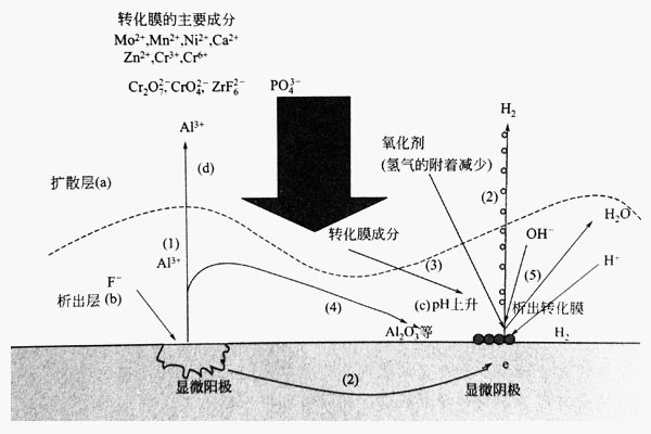 鋁型材化學轉化膜析出模型圖 鋁型材化學轉化膜析出模型圖